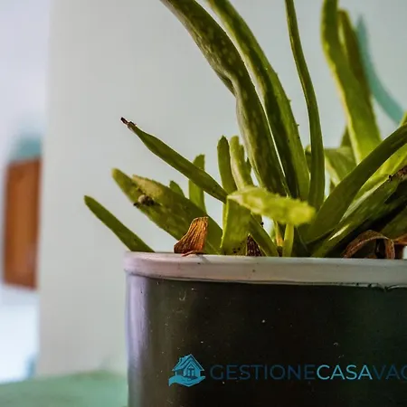 Grazioso Bilocale In Centro Holiday home *